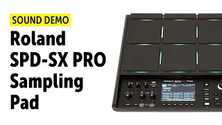 Roland | SPD-SX Pro Sampling Pad | Sound Demo (no talking)