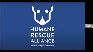 Community Conversation With the Humane Rescue Alliance: 2022 Annual Highlights