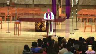 Mercy at the Cathedral - Lenten Reflection with Bishop Barron 2016