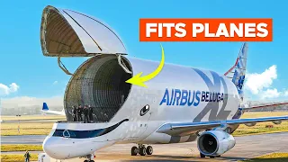 The World’s Strangest Looking Cargo Plane: Inside the Airbus Beluga XL