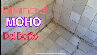 😱COMO LIMPIAR EL MOHO-HONGOS DE LA DUCHA| trucos para limpiar EL MOHO DE LOS AZULEJOS DEL BAÑO