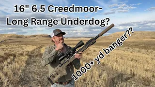 Shorty 6.5 Creedmoor (16”)- Real world performance