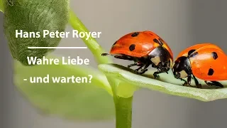 Wahre Liebe - und warten? Hans Peter Royer