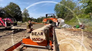 VLOG 31*Tiny Home Timber Frame Project* Milling a Maple 10x12 Beam Part 1 and Limits of Materials