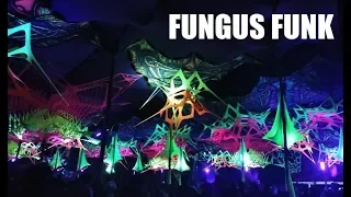 Fungus Funk @ Sonoora 2019