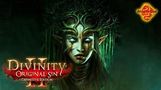Divinity Original Sin 2 Definitive Edition Прохождение Форт Радость Часть 1