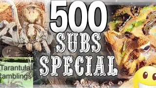 500 sub special