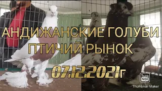 Птичий Рынок В Андижане, 07.12.2021г #tauben #pigeons