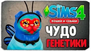 ЧУДО ГЕНЕТИКИ, МИЛАШКИ КОТЕЙКИ? - The Sims 4 "Кошки и Собаки"