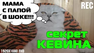 ЧТО СКРЫВАЛ КОТ КЕВИН? КЕВИН СТАНЕТ ПАПОЙ?