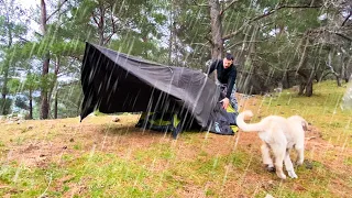 Caught in Thunderstorm With My Dog - Heavy Rain Never Stopped • Camping in Rain