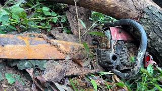 Rescue and Restoration  CHAINSAWS  Old Abandoned in the Forest