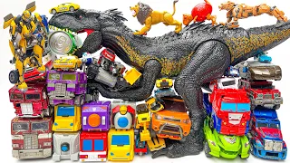 New TRANSFORMERS Rise of BEAST WARS: BUMBLEBEE Revenge Indominus Eating CAR: Mini Robot Tobot Carbot