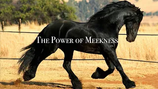 The Power of Meekness