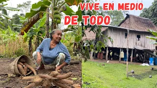 Viven en MEDIO DE LA SELVA en su casita de MADERA y son MUY FELICES 🛖🌳Josué y Elie