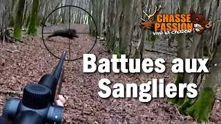 Battues aux sangliers - Tir de 3 Sangliers et 1 chevreuil