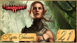 Divinity: Original Sin II ★ 21: По следу Гарета.