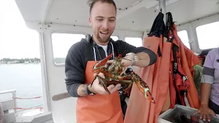 LOBSTERING and BREW BUS TOUR | Portland, Maine