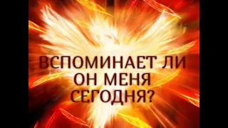 ВСПОМИНАЕТ ЛИ ОН МЕНЯ СЕГОДНЯ?... Гадание онлайн|Таро онлайн|Расклад Таро