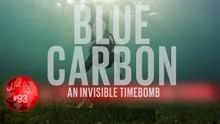 Ocean Carbon Dioxide levels. An invisible time bomb?