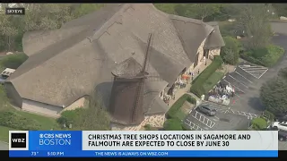 Two Christmas Tree Shops stores on Cape Cod appear on closing list