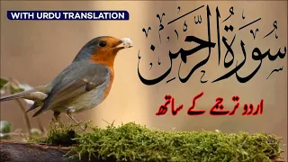 Surah Ar-Rahman - Mishary Rashed Alafasy | سورہ رحمٰن55 | Quran with Urdu and Hindi Translation 121