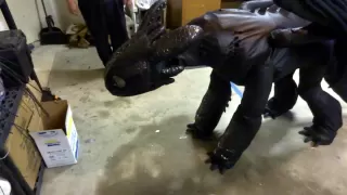 How to Cosplay Toothless