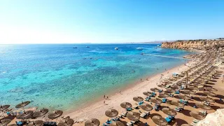 Reef Oasis Beach Resort 5* Египет, Шарм-эль-Шейх.