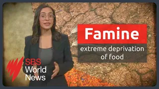 How is famine classified? 1.1 million people in Gaza facing 'catastrophic' food shortages | SBS News