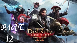 Divinity Original Sin 2 Let's Play - Making A Drudnae Farm In Driftwood (Part 12)