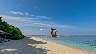 Reethi Beach Resort, Maldives