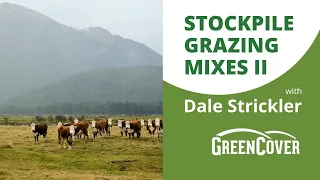 Stockpile Grazing Mixes with Dale Strickler (Part 2/2)