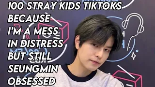 100 Stray Kids TikToks Because I’m a Mess in Distress but Still Seungmin Obsessed