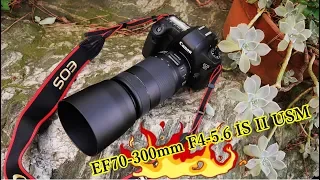 EF70-300mm F4-5.6 IS II USMを購入！フルサイズ対応！　Canon