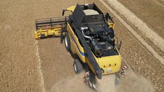 NEW HOLLAND CX8.85 von Agrarservice Koch bei der Gerste Ernte 2022 / 4K