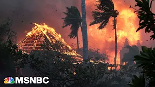 Hurricane winds, dry land are ‘lethal combination' in Hawaii wildfires says scientist