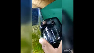 Hob Filter in aquarium | Dophin H 80