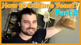 How to Culture Yeast? Part 2 - Yeast Starter and Culturing