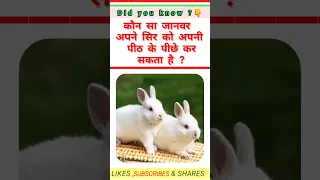 Amazing animal ll interesting Question ll gk hindi ll mind blowing Question ll 2023 IND