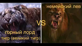 ГОРНЫЙ ЛОРД VS НЕМЕЙСКИЙ ЛЕВ