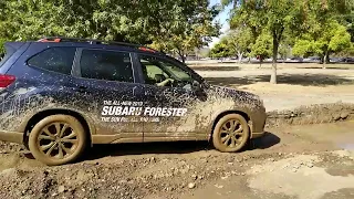 2019 Subaru Forester Deep Mud and Snow X-mode demonstration