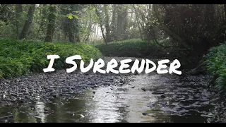 I Surrender (Instrumental) 30-Minutes Christian Meditation/ Relaxation with bird & water sound