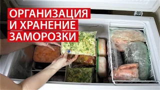 ОРГАНИЗАЦИЯ и ХРАНЕНИЕ ЗАМОРОЗКИ  ★ ХРАНЕНИЕ В МОРОЗИЛЬНОЙ КАМЕРЕ ★ Cветлана Бисярина