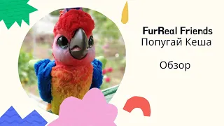 Игрушка FurReal Friends Попугай Кеша | Обзор от Василисы| Как живой!