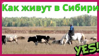 Есть ли жизнь в Сибирской деревне ? Заброшенные села России.
