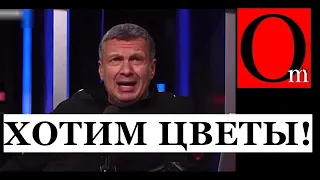 О чем мечтает Соловьев, когда говорит о вступлении Украины в НАТО?