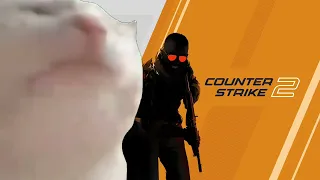 counter strike 2 new theme but with cat jammin