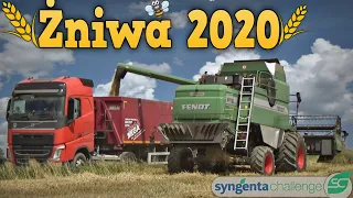 Żniwa 2020 - Jęczmień Hybrydowy🌾 Sypiemy Na Ciężarówkę 😱 Atak Osy🐝 [SyngentaChallenge#8]☆ MafiaSolec