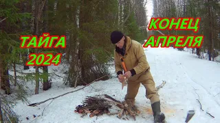 29 АПРЕЛЯ ! ТАЙГА В СНЕГУ ! ВОЗВРАЩАЮСЬ ОТ ИЗБЫ . APRIL 22 TAIGA, SNOW.WALKING FROM THE HUT