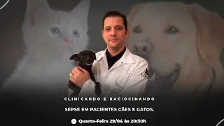 Sepse em pacientes cães e gatos.